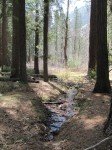 IMG_1592