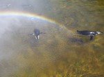 IMG_20120506_145238