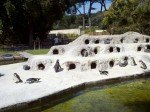 IMG_20120506_145749