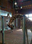 IMG_20120506_165709