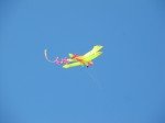 IMG_2822