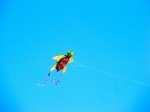 IMG_2823
